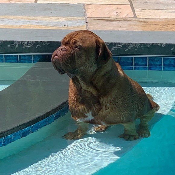 Meet your Posher, Adam - Picture 1 of 1